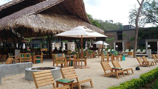 Makako at El Mangroove